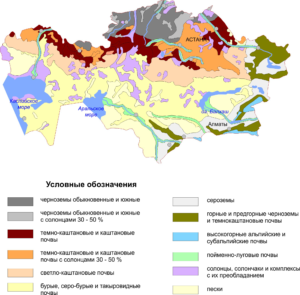 Рисунок 1. Почвы Рисунок 1. Почвы